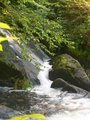 Waterfalls.jpg