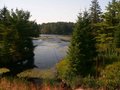 Algonquin Park lake.jpg