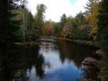 Autumn Beauty.jpg