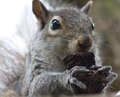Snack Time