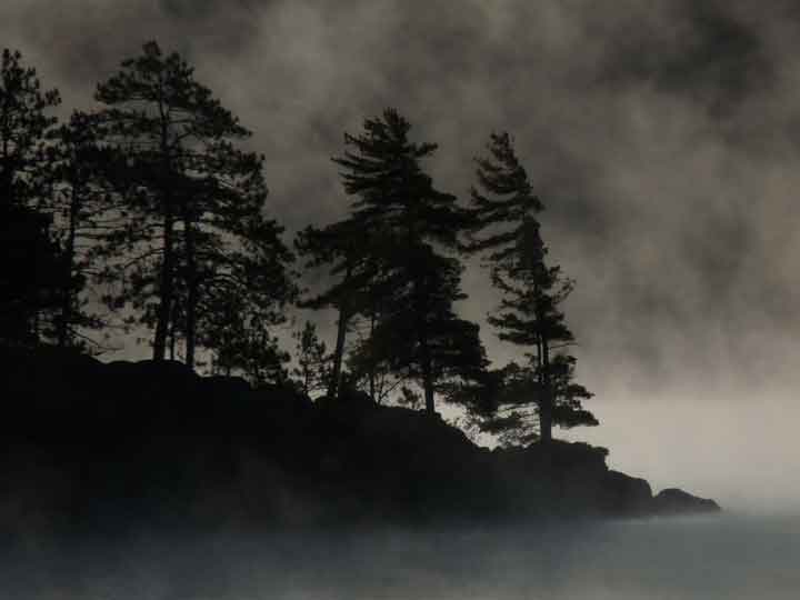 Morning Mist in Algonquin.jpg
