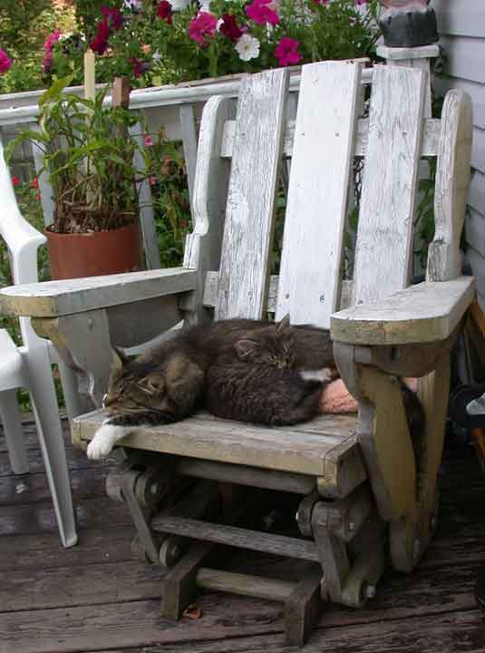 Deep-Sleep.jpg