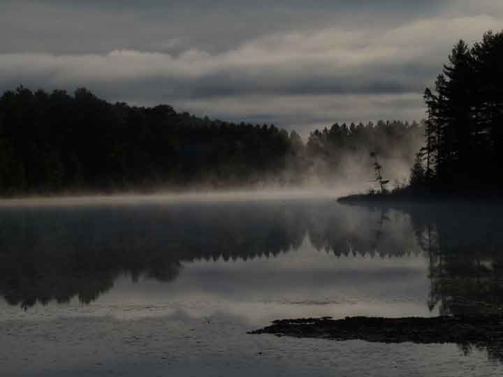 Morning Mist.jpg