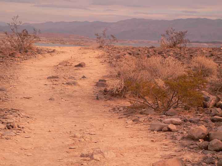 Along-The-Desert-Path.jpg