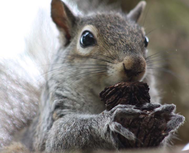 Snack Time