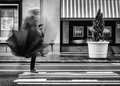 _38A0706sm