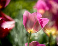 4. April