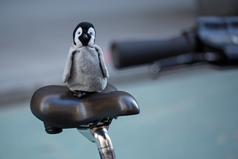 getting ready for the big ride