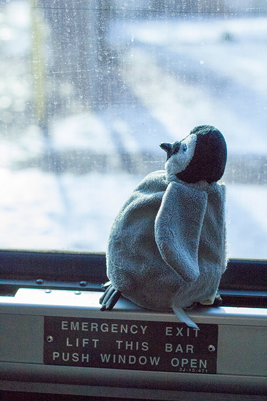 I'm pumped... on the big bus to the City