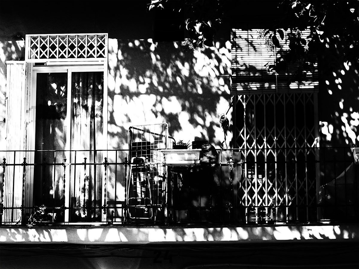 patio and trees