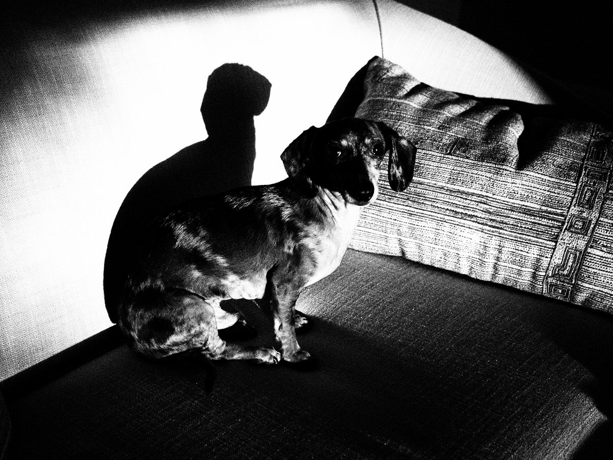 King George