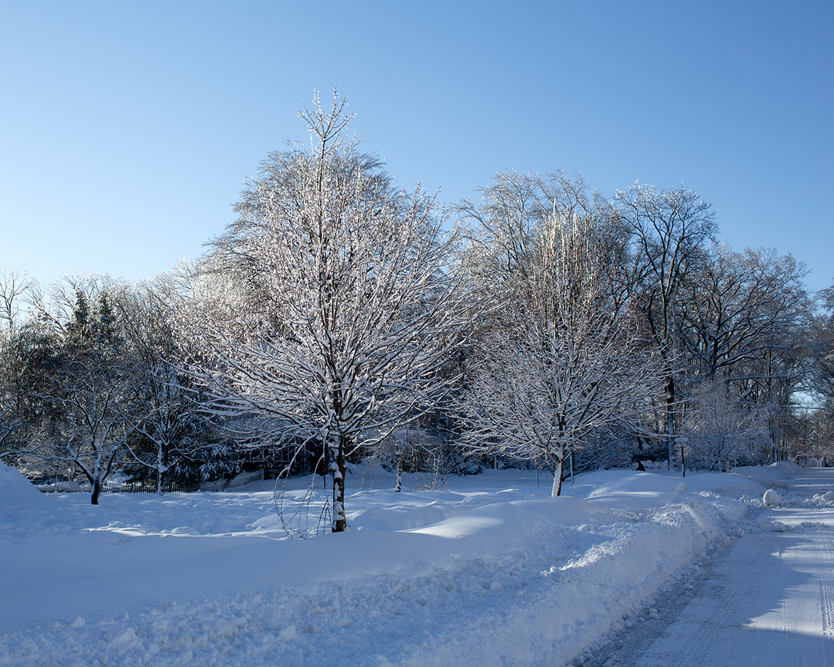 1. February