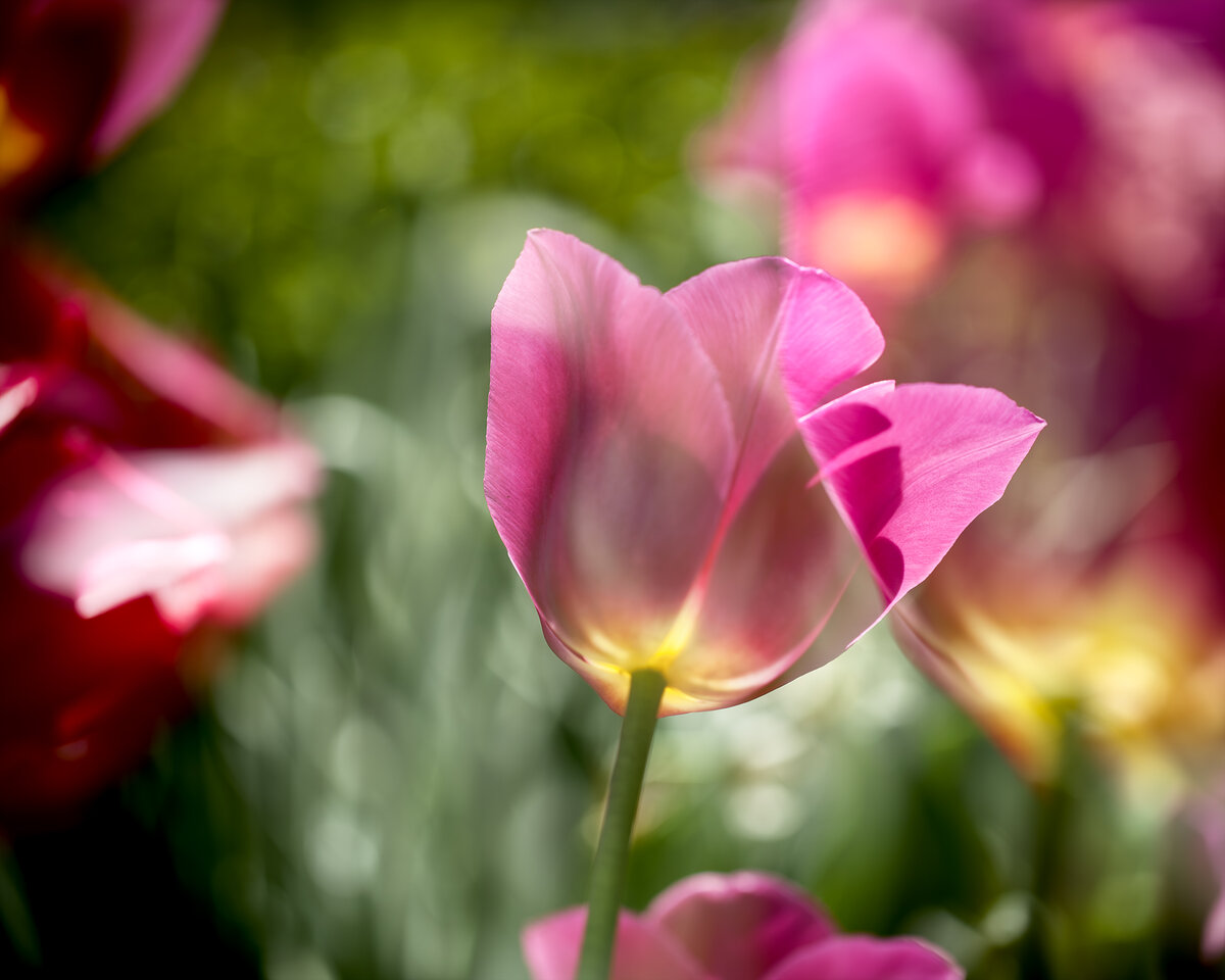 4. April