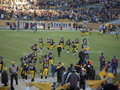 steelers2