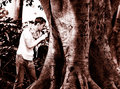 Tree Carving