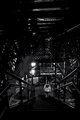 Into The Unknown