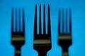 Forks.jpg