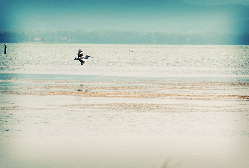 In Flight