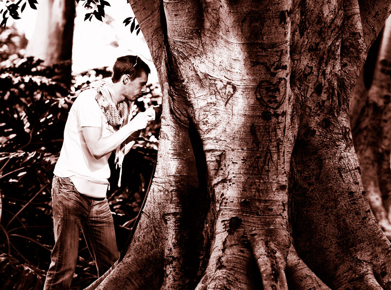 Tree Carving