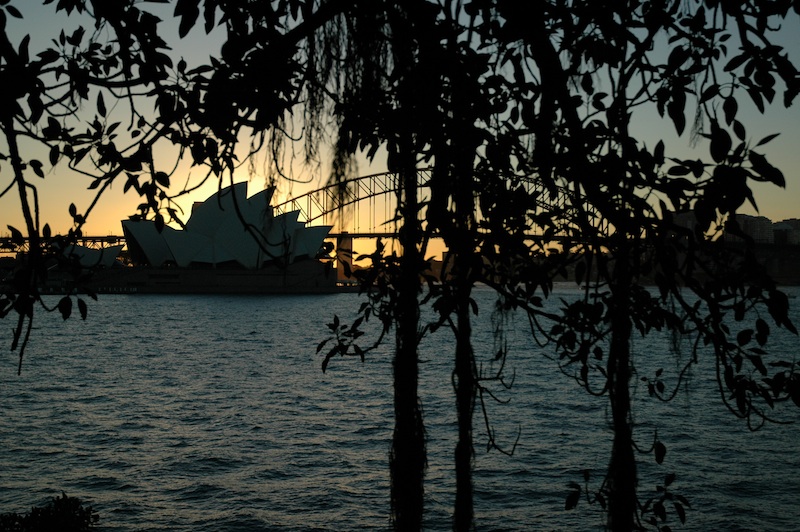 DSC_0061.jpg