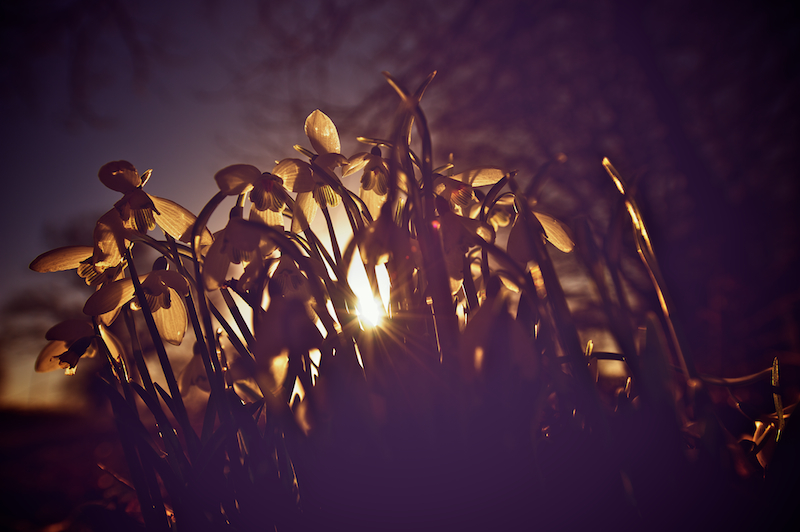 End Of Winter