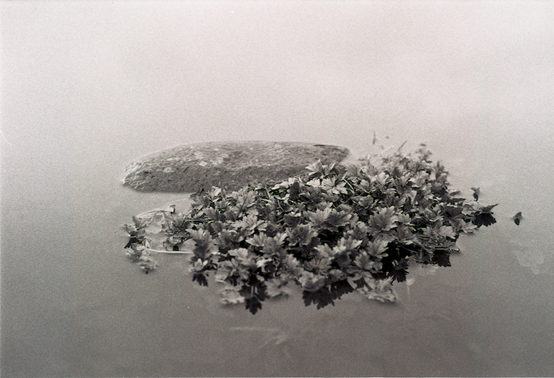 Silence On The Lake