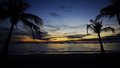 BeachPalmSunset.jpg
