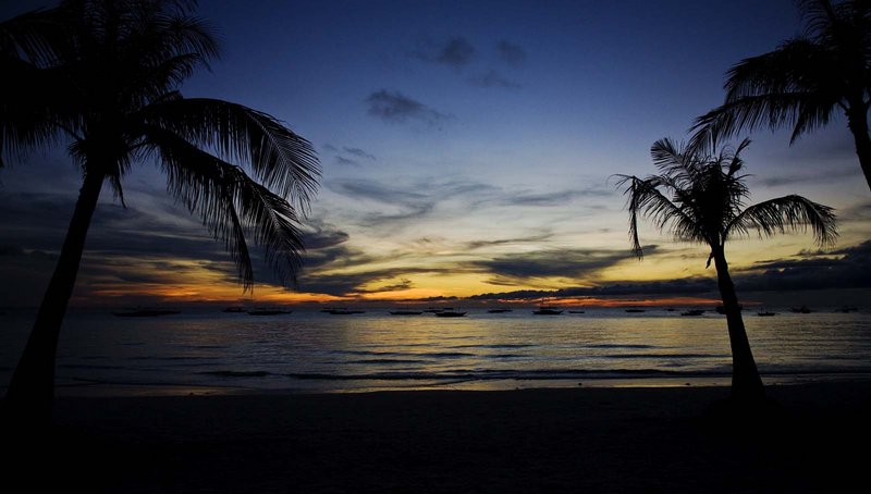 BeachPalmSunset.jpg