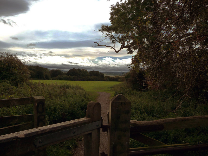 Wirral Way