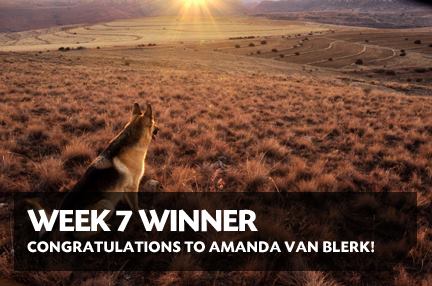 week 7 winner