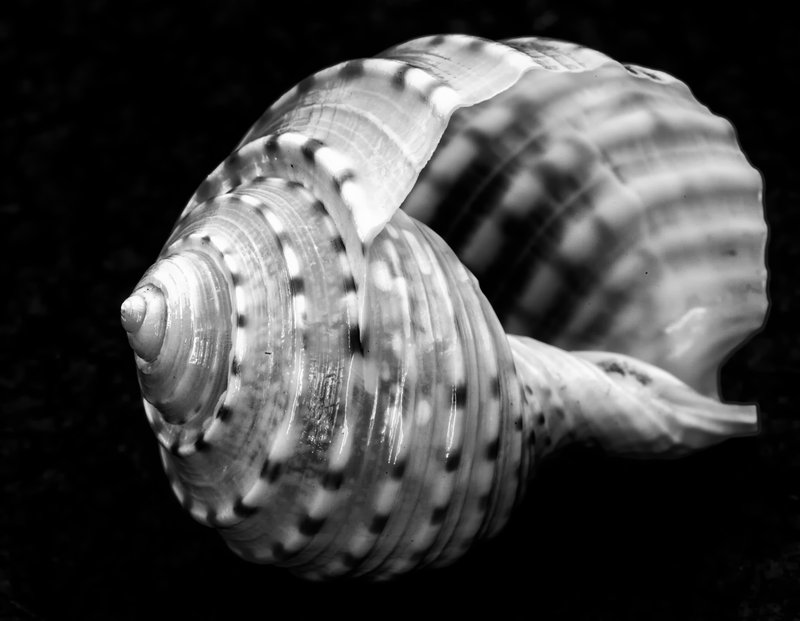 _MG_6654