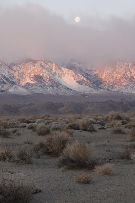 moon setting over Sierras