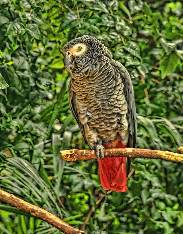 IMG_0144_edited-1.jpg