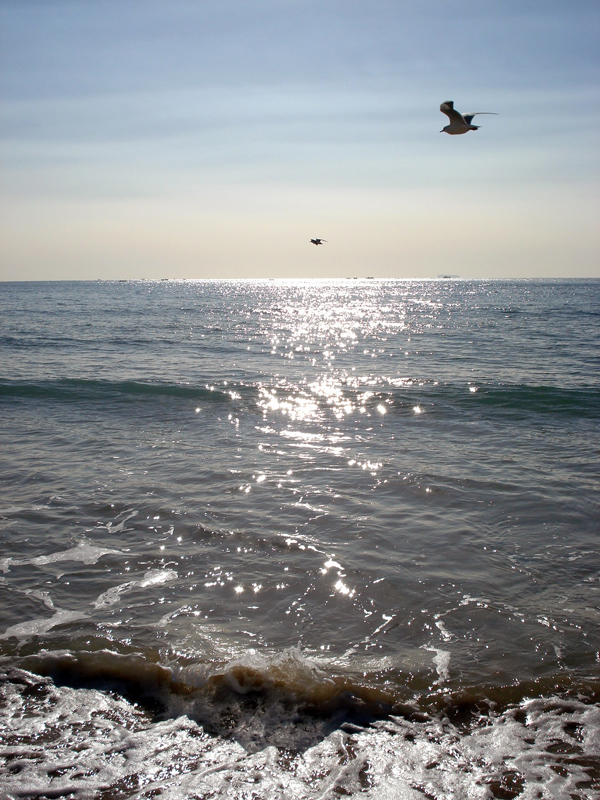 Ocean Breeze XVIII