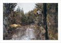 stonescapes-1