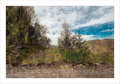 stonescapes-3