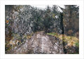 stonescapes-4