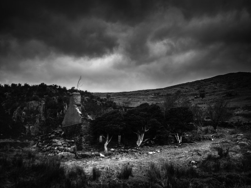 Farm house with trees