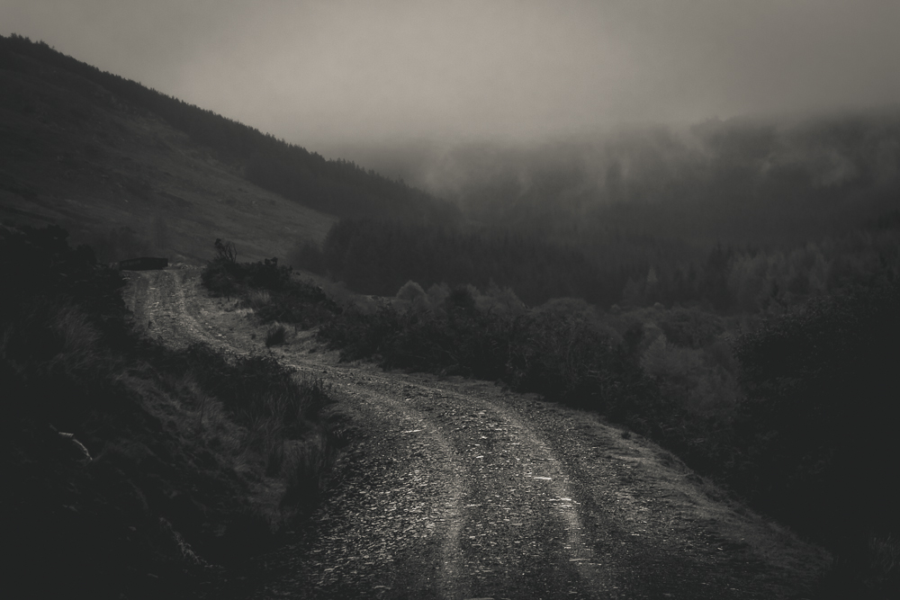 The Pathways