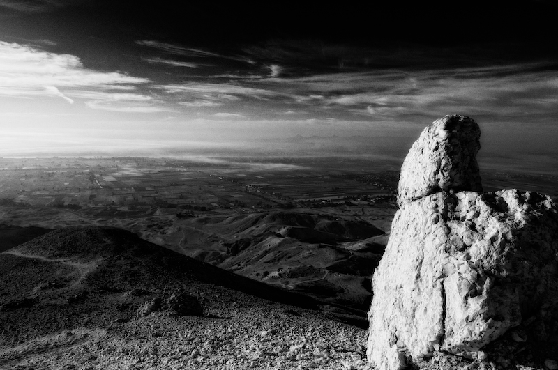 Sentinel