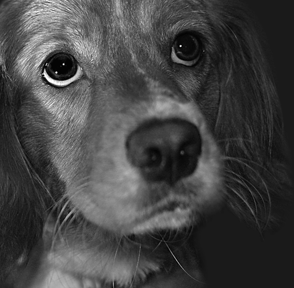 BW Una