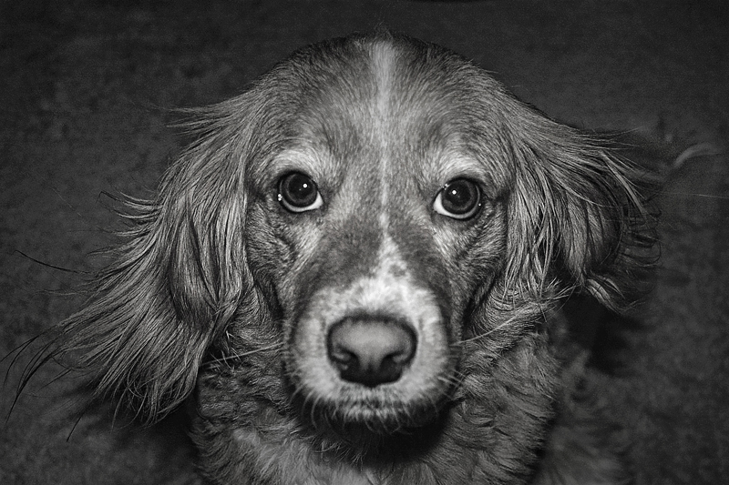 DSC_7024-vignette