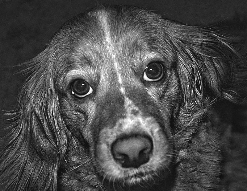 DSC_7024tilt-vig