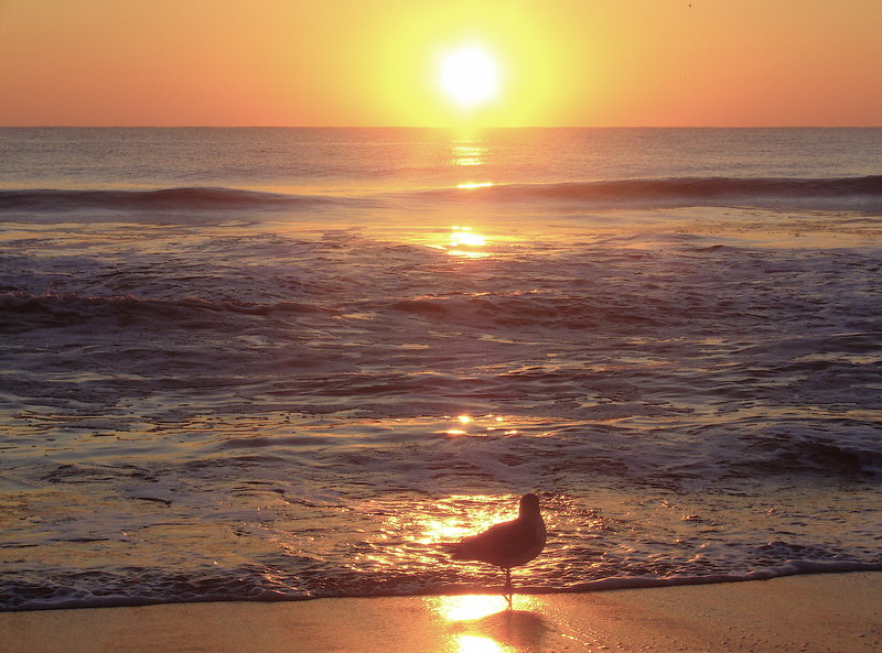 Sunrise