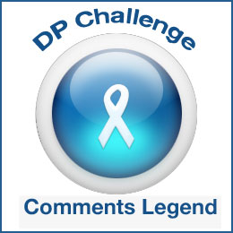 ribbon2.jpg