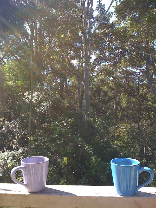 Morning1