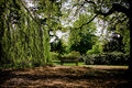 kew gardens