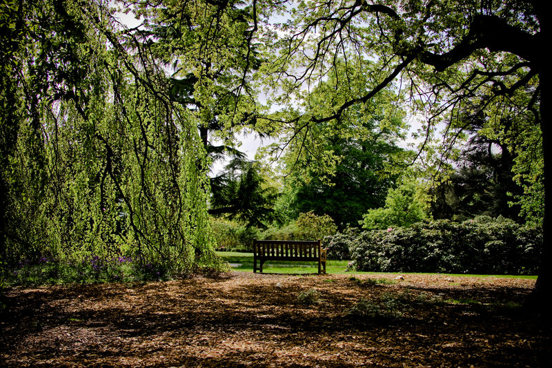 kew gardens