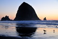 Haystack Rock II