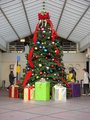 A Christmas Tree
